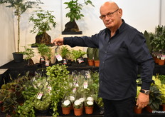 Nico Kortekaas toont de producten van Kwekerij Zeurniet en gaf extra aandacht aan de Ceropegia Woodi en de Dischidio, die in verschillende variëteiten komt.